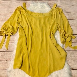 🎉2xHP!🎉Eloquii Off the Shoulder Tunic Top